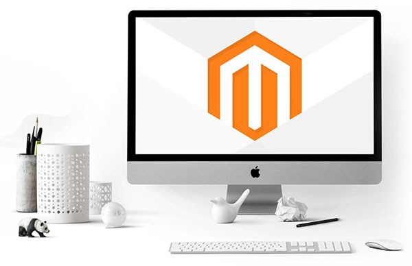 Hire Magento Developer